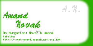amand novak business card
